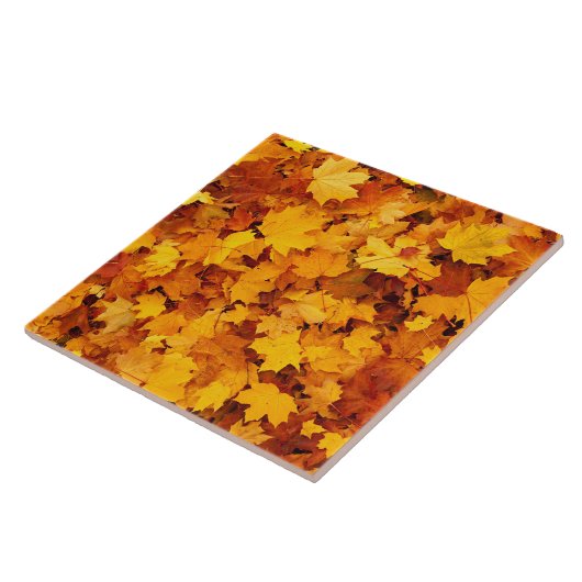 秋のカエデ葉ス タイル (側面)