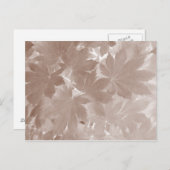 秋のカエデ葉ス ポストカード (正面/裏面)