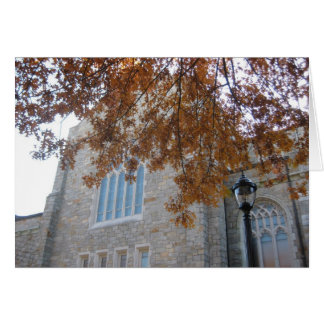 秋のカシの葉とのVCC