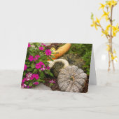 秋のカボチャとインパチエンスのグリーティングカード カード (黄色い花)