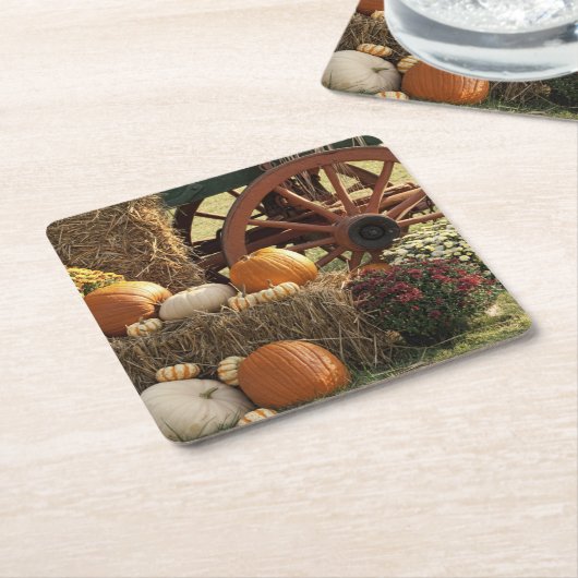 秋のカボチャとマムディスプレー スクエアペーパーコースター (アングル)