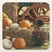 秋のカボチャとマムディスプレー スクエアペーパーコースター (正面)