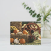 秋のカボチャとマムディスプレー ポストカード (スタンド正面)