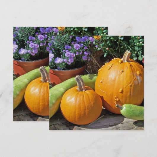 秋のカボチャと花 (正面/裏面)