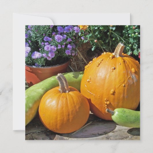 秋のカボチャと花 (裏面)