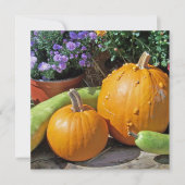 秋のカボチャと花 (正面)