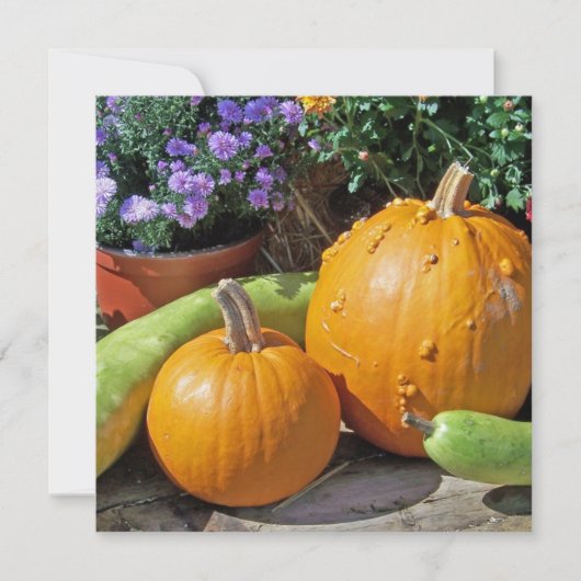 秋のカボチャと花 (正面)