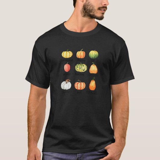 秋のカボチャスパイス言語聴覚士の業務範囲 Tシャツ (正面)