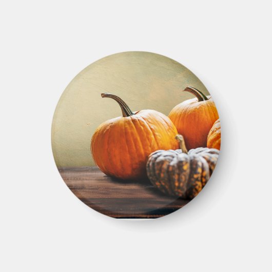 秋のカボチャ感謝祭とハロウィーンはまだ。 マグネット (正面)