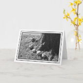 秋のカボチャ空白ののグリーティングカード カード (黄色い花)