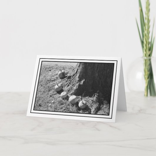 秋のカボチャ空白ののグリーティングカード カード (正面)