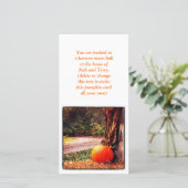 秋のカボチャ (スタンド正面)