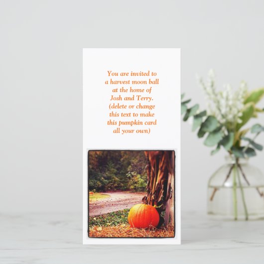 秋のカボチャ (スタンド正面)