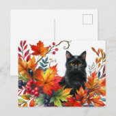 秋のカラフルな葉と黒猫のポストカード ポストカード (正面/裏面)