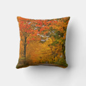秋のカラフルの木 クッション (裏面)