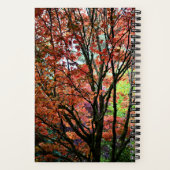 秋のカラフルもみじの木 ノートブック (裏面)