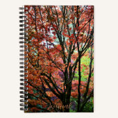 秋のカラフルもみじの木 ノートブック (正面)