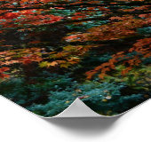 秋のカラフルもみじ離れの木 ポスター (角)