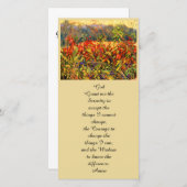 秋のカラフルアスター&サマック赤とブルース (正面/裏面)