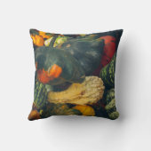 秋のカラフルカボチャ クッション (裏面)