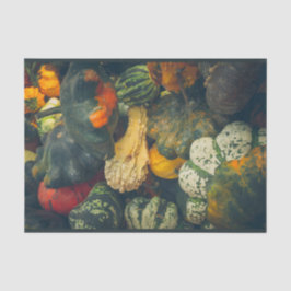 秋のカラフルカボチャ 薄葉紙