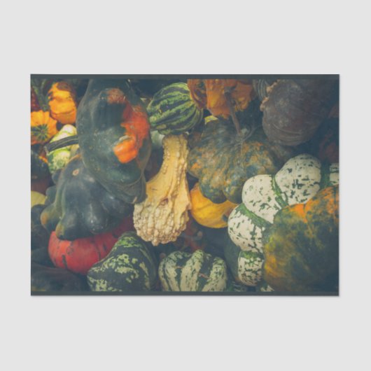 秋のカラフルカボチャ 薄葉紙 (正面)