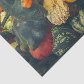 秋のカラフルカボチャ 薄葉紙 (詳細)