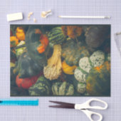 秋のカラフルカボチャ 薄葉紙 (クラフト)