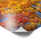 秋のカラフル木々の自然景観写真 フォトプリント (角)