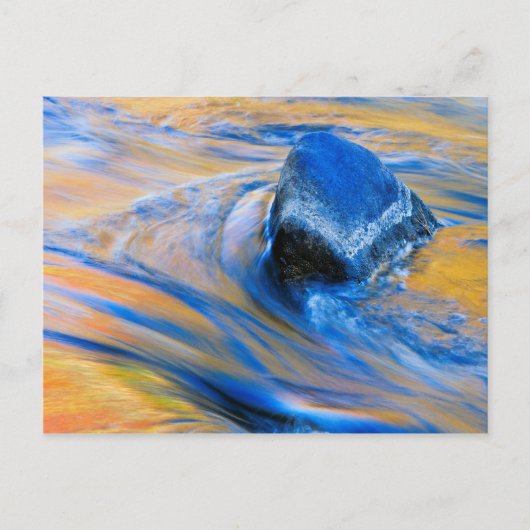 秋のカラーウォーター抽象芸術 ポストカード (正面)