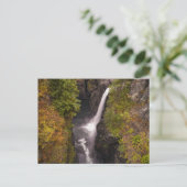 秋のカラーズアットザエルク滝 ポストカード (スタンド正面)