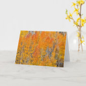 秋のカラーズオン《植物》アスペングローブ カード (黄色い花)