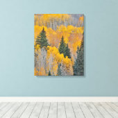 秋のカラーズオン《植物》アスペングローブ キャンバスプリント (インサイチュ (ウッドフロア))