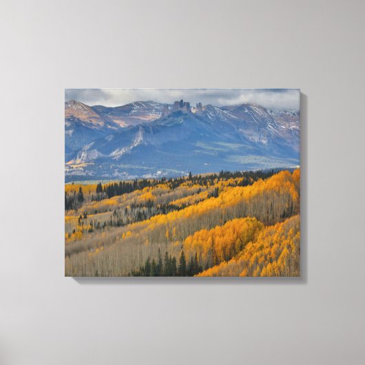 秋のカラーズオン《植物》アスペングローブ キャンバスプリント (正面)