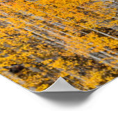 秋のカラーズオン《植物》アスペングローブ ポスター (角)