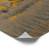 秋のカラーズオン《植物》アスペングローブ ポスター (角)