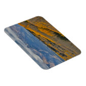 秋のカラーズオン《植物》アスペングローブ マグネット (右側)