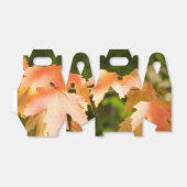 秋のカラーパーティーの特典ボックス フェイバーボックス (折り畳みなし)