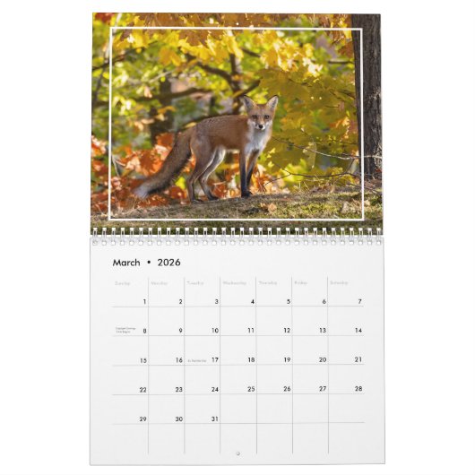 秋のカレンダーに表示される赤いキツネ カレンダー (3月 2026)