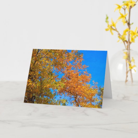 秋のカードとは カード (黄色い花)