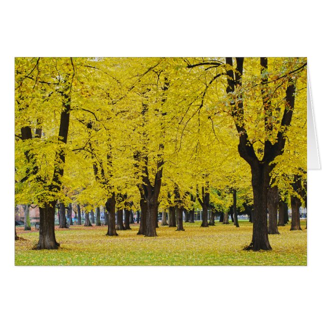 秋のカード (正面横)