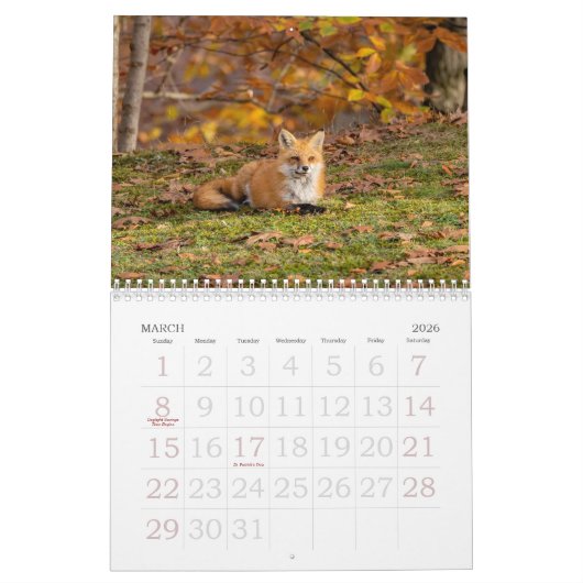 秋のキツネ カレンダー (3月 2026)