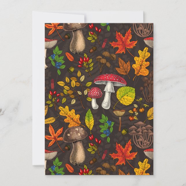 秋のキノコ葉や、木の実や果実が暗い日 (正面)