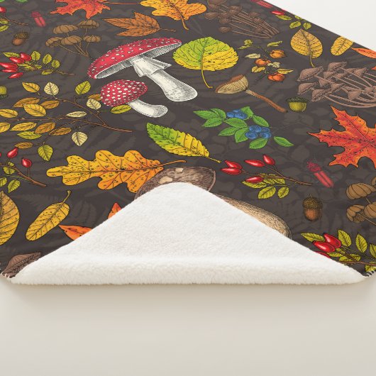 秋のキノコ葉や、木の実や果実が暗い日 シェルパブランケット (3/4)