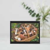 秋のキノコ ポストカード (スタンド正面)