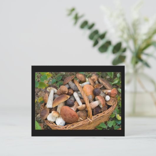 秋のキノコ ポストカード (スタンド正面)