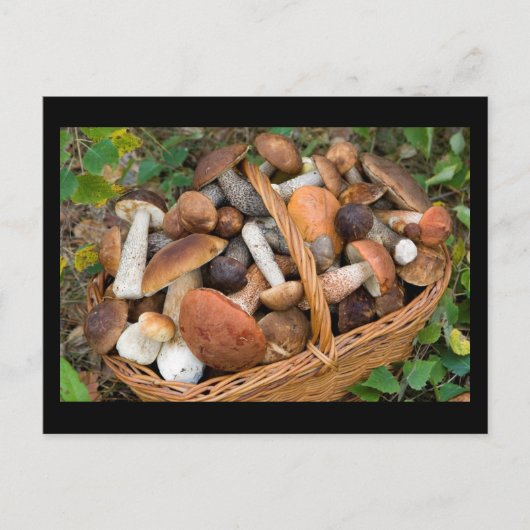 秋のキノコ ポストカード (正面)