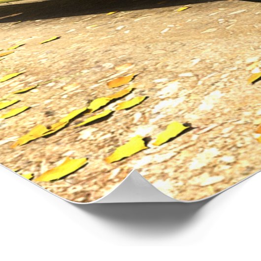 秋のキャディ ポスター (角)