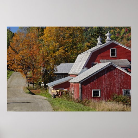 秋のクラシックな田舎の納屋/農場のそばの道、 ポスター (正面)