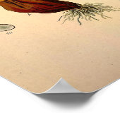 秋のクロッカスとして知られるコルチカム秋 ポスター (角)